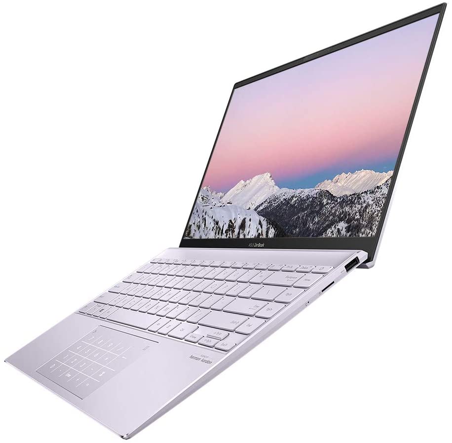 ASUS ZenBook UM425IA-WB501T	