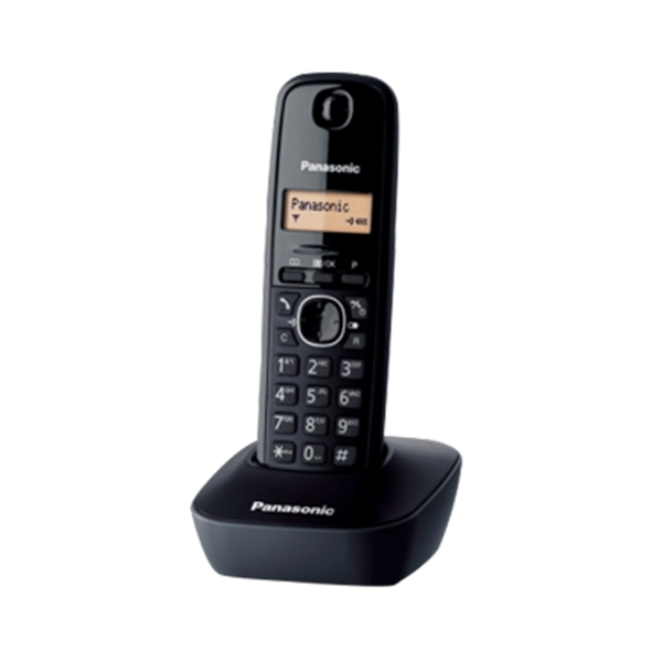 Panasonic KX-TG1611FXH 