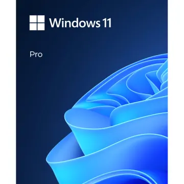 Microsoft DSP Windows 11 Pro Eng 64-bit, FQC-10528